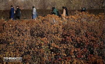 تور تهرانگردی ویـژه خانواده دیپلماتیک در منطقه 22