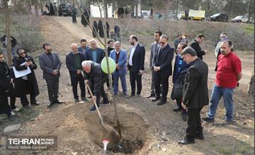 غرس ۲۷۸۲ نهال در سرخه‌حصار به یاد درگذشتگان جامعه پزشکی 17