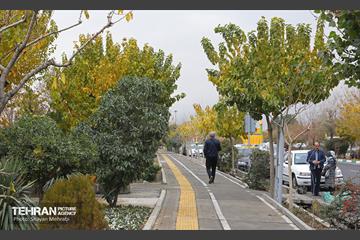 بازدید خبرنگاران از پروژه‌ های شاخص مناسب‌ سازی شهرداری در مناطق ۲ و ۵ تهران 27