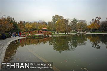 باغ گیاه‌شناسی ملی ایران 40