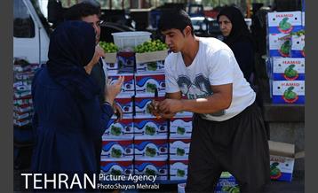 بازار میوه تربار مرکزی 25