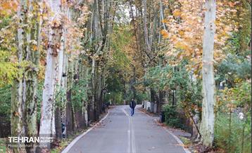 طبیعت پاییزی مجموعه فرهنگی تاریخی سعدآباد  18