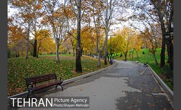 پاییز در بوستان ملت 23