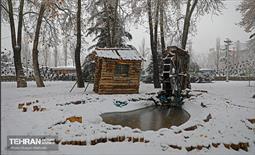 بارش نخستین برف زمستانی در تهران 12