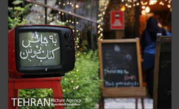 باغ فردوس 13