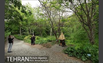 باغ گیاه‌شناسی ملی ایران 17