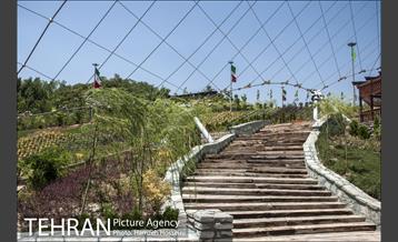 آخرین روزهای ساخت فاز2 باغ پرندگان 10