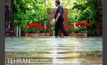 هوای بهاری تهران 18