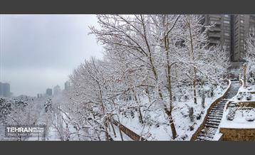 روز برفی در منطقه 6