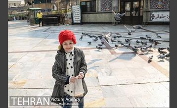 آستان مقدس امامزاده صالح(ع) 3