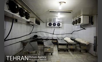 تطهیر و تدفین جانباختگان کرونایی در بهشت زهرا(س) 11