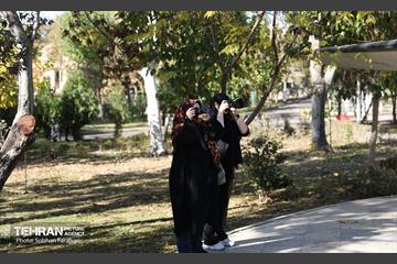 تور عکاسی بوستان بعثت 28