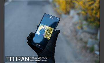 طبیعت بهاری پارک جنگلی لویزان‎  25