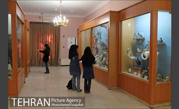 موزه آثار طبیعی و حیات وحش هفت چنار 2