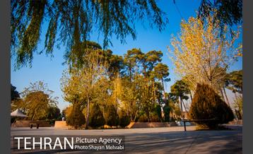 پاییز باغ موزه قصر 35