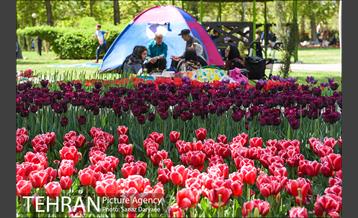 روز طبیعت در پارک لاله 9