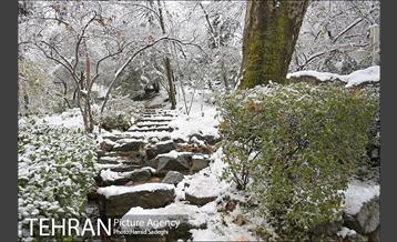 طبیعت برفی شمال تهران 11