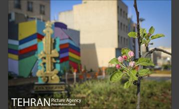 بوستان فاطمیه 16