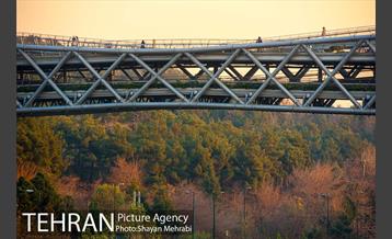 پاییز پل طبیعت 34