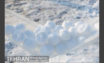 جشنواره مجسمه های برفی 13