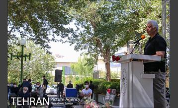 روز ملی کشتی 17