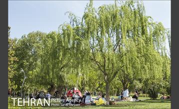 روز طبیعت در پارک لاله 5