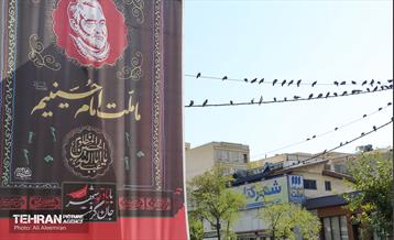 رخت عزا بر تن منطقه 4