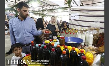 جشنواره شاتوت و محصولات محلی دهستان سولقان 8