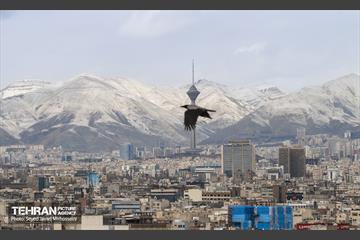 تهران 14