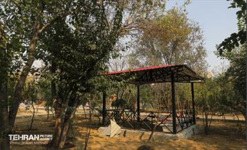 آخرین مراحل ساخت بوستان مادر و کودک "باغ نظر" 22