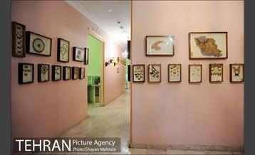 موزه حیات وحش هفت چنار 23