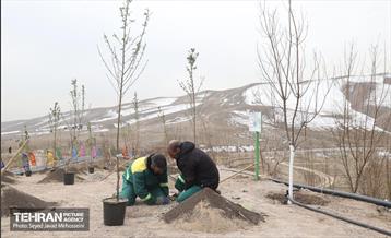 آیین روز درخت‌کاری و پایان پروژه کاشت ۲۵۰۰ هکتار کمربند سبز پایتخت  58