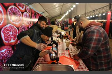 جشنواره انار در بوستان آب و آتش  20