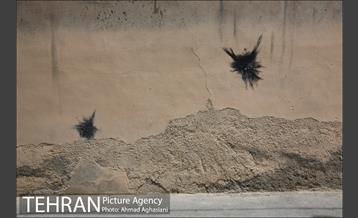 محله دروازه غار 8