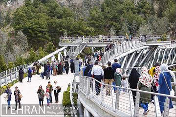 به مناسبت ده سالگی پل طبیعت 11