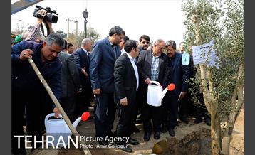 آیین کاشت درخت دانش در بوستان جنگلی چیتگر 40