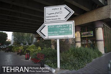 میدان شقایق‎ 7