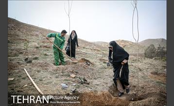 آئین کاشت نهال در بوستان جنگلی سرخه حصار 18