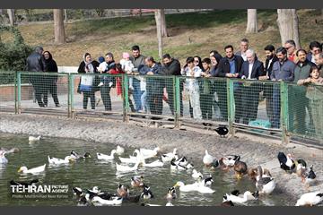 گردهمایی خانواده شهرداری منطقه ۱۶ در بوستان بعثت 13