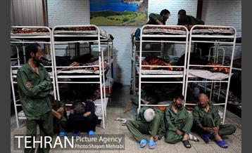 گرمخانه ها، دور از سرما 17