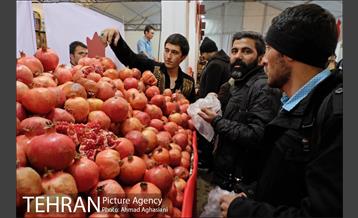 هفتمین جشنواره انار فرهنگسرای اشراق 14