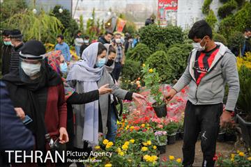 بازار گل و گیاه غرب تهران در آستانه نوروز 20