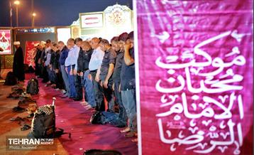 عاشقان حسینی در مرز چذابه 21