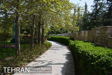 روز طبیعت متفاوت شهر تهران-1 28