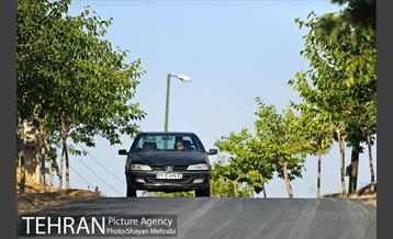 بوستان جنگلی لتمال کن 15