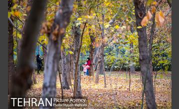 پاییز پارک شهر 16
