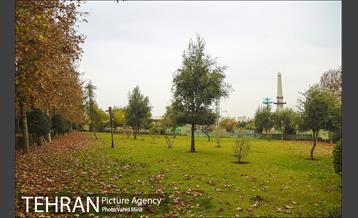 پاییز در بوستان رازی 9