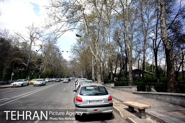 بوستان نیاوران 34