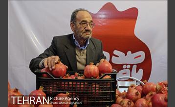 هفتمین جشنواره انار فرهنگسرای اشراق 13