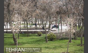 بوستان گلاب‌دره 9